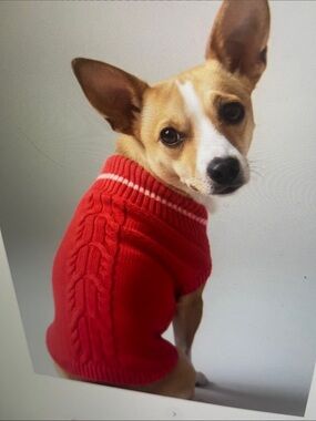 Red Cable-Knit Dog Sweater - Unbranded Cozy Knit